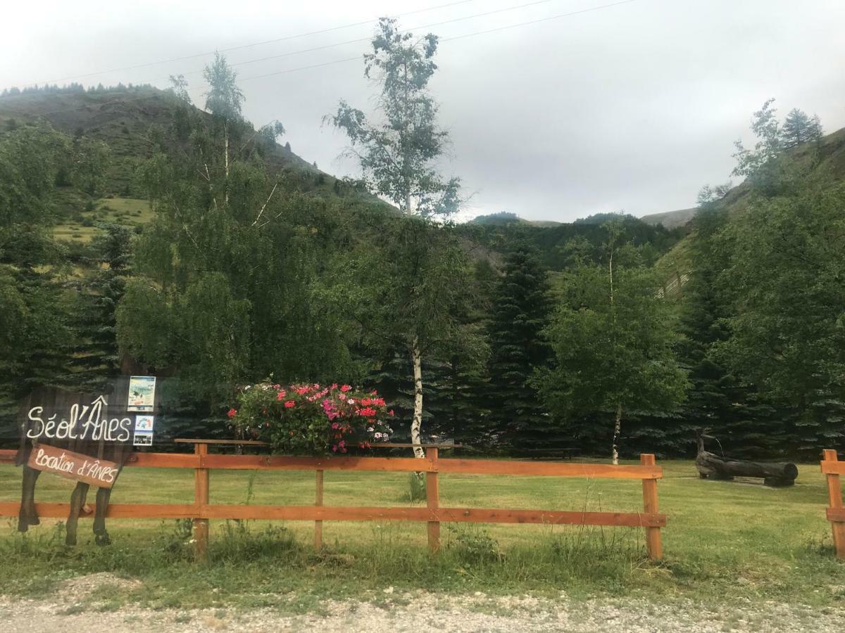 Studio Chaleureux A La Foux D'Ла-Фу Экстерьер фото